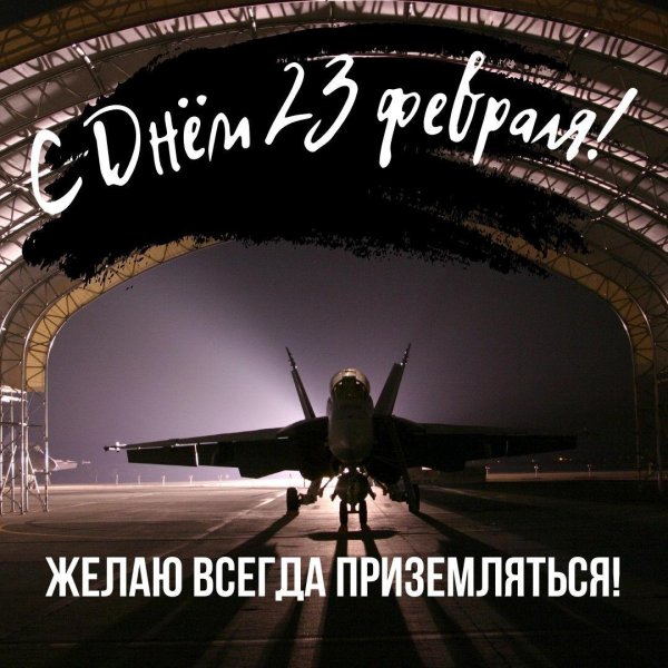 поздравления с 23 февраля летчику