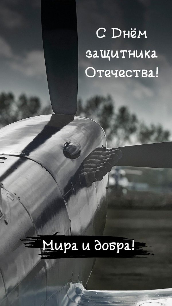 с днем защитника отечества авиация