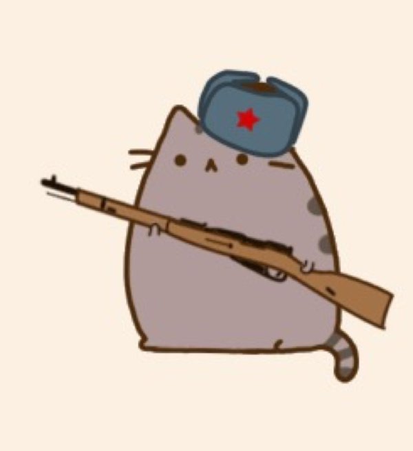 pusheen cat