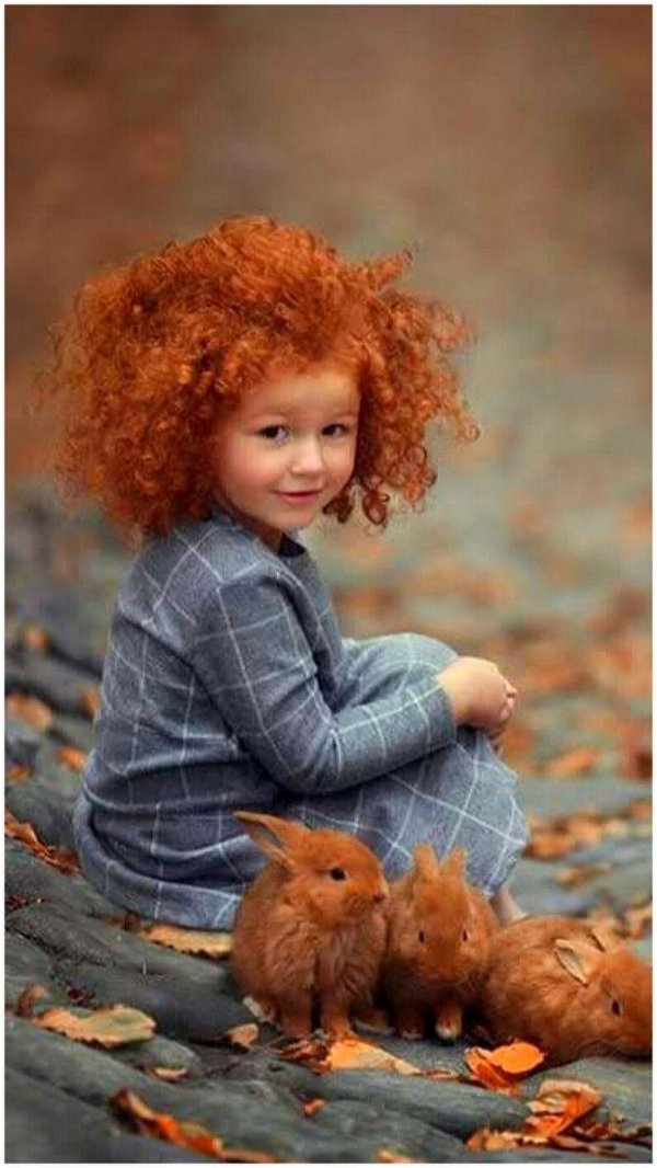 рыжее счастье