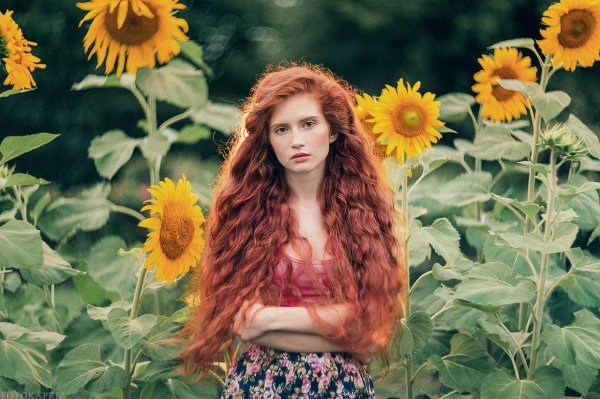 рыжие волосы длинные