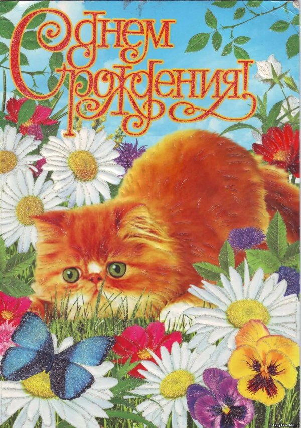 красивое поздравление с днем рождения