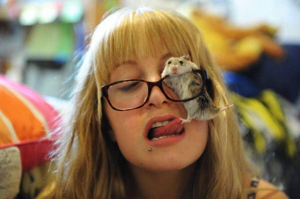 человек хомяк