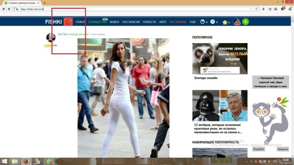 фишки солянка