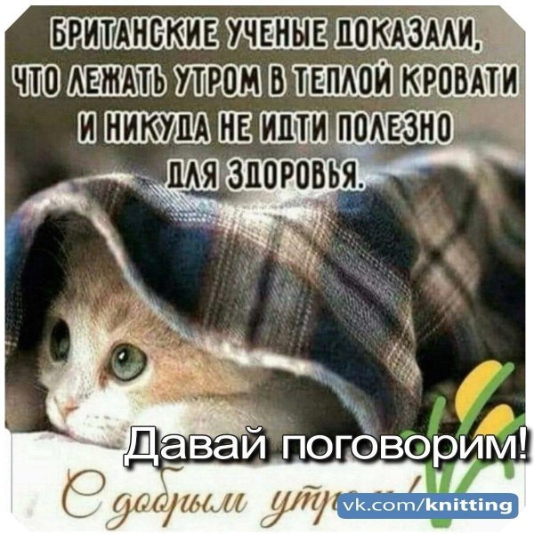 высказывания с добрым утром