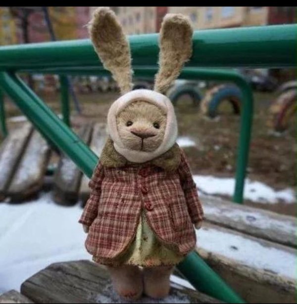 заяц прикольный