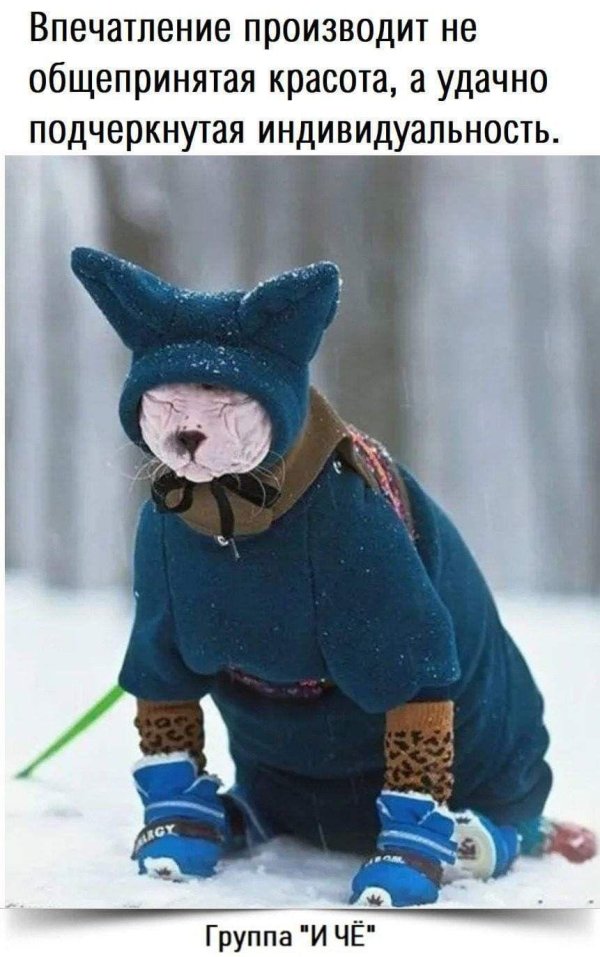 одевайся теплее