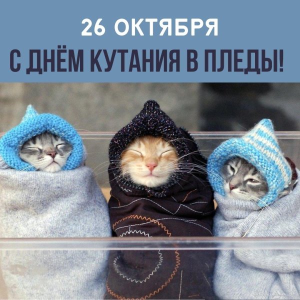 одевайтесь тепло