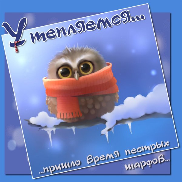 открытка прикольный совенок