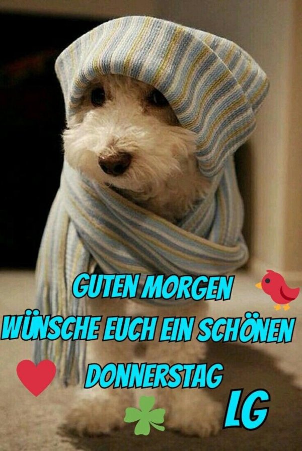 guten morgen donnerstag