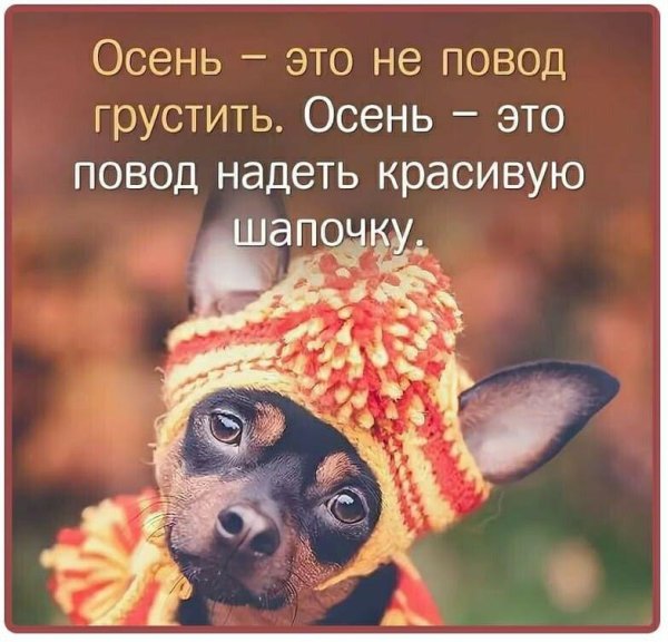 осень не повод грустить