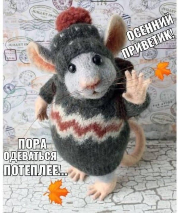 ноябрьский приветик