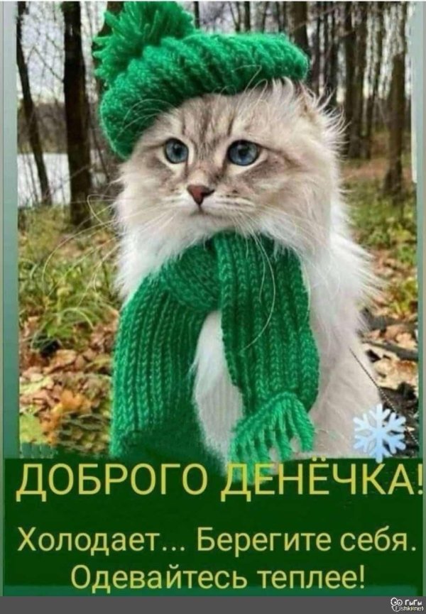 добрейшего денечка