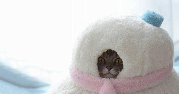 что то стало холодать