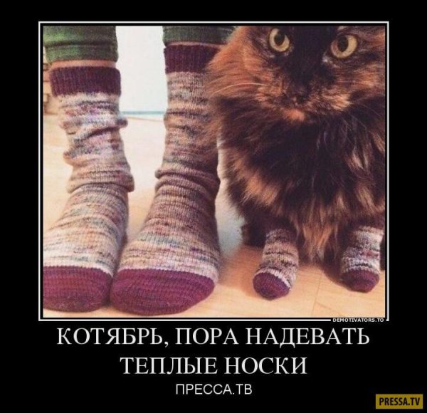 24 октября день любви к теплым носкам