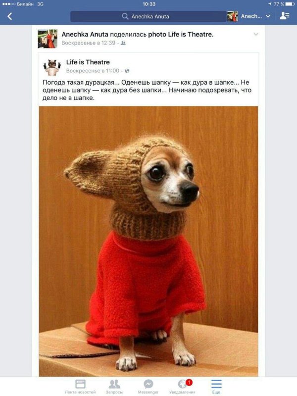 одень шапку