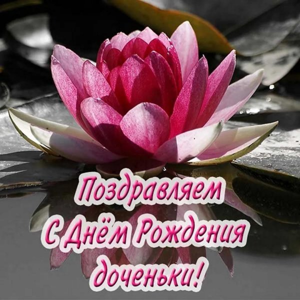 водяная лилия