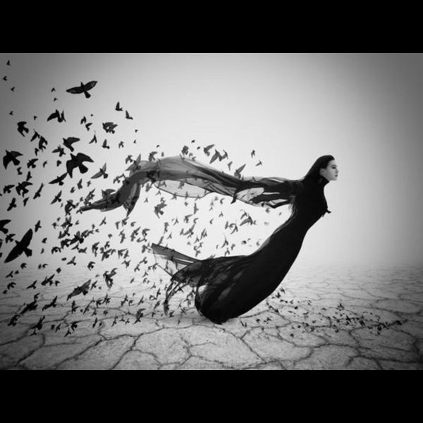 сюрреализм фотографии