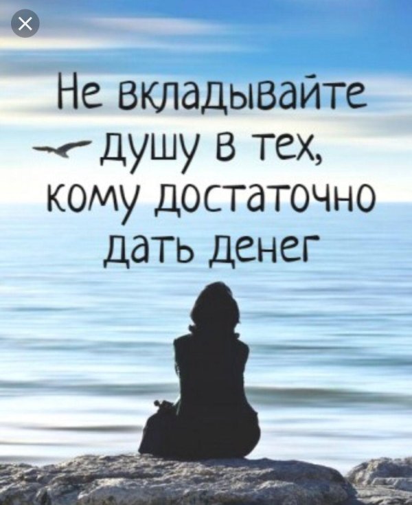 мудрая цитата