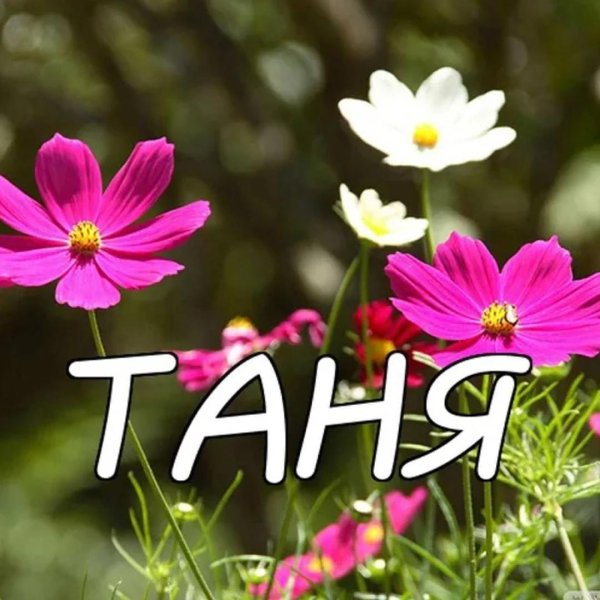 имена таня