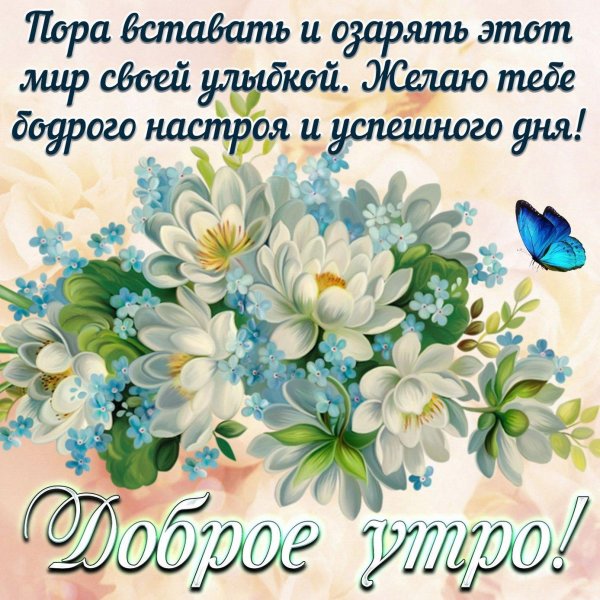 прозрачный фон цветы