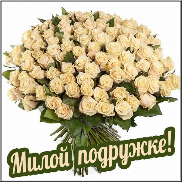 дорогая подруга