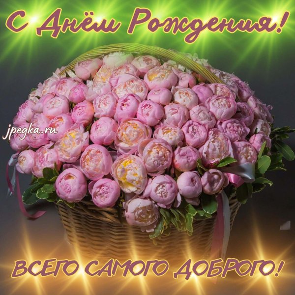 корзина пионовидных роз