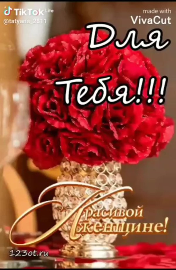 роскошные розы