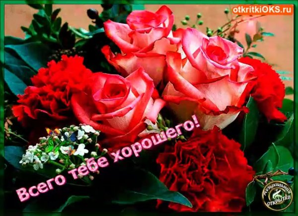 роскошные цветы