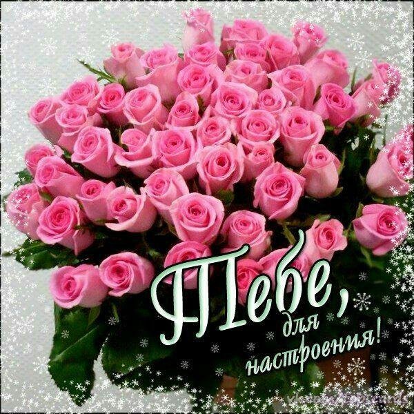 открытки красивые розы