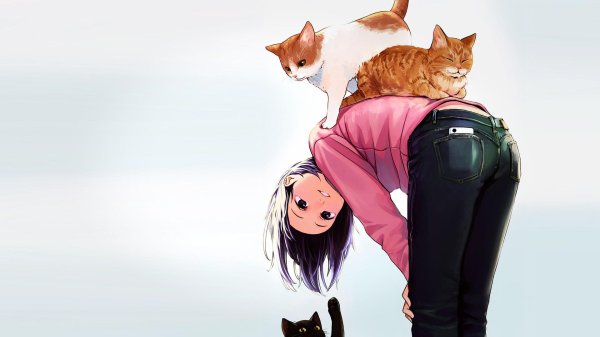 Котики и девушки