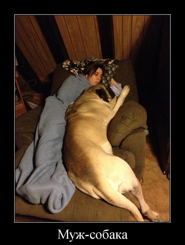 самые большие собаки