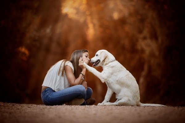 девушки с собаками