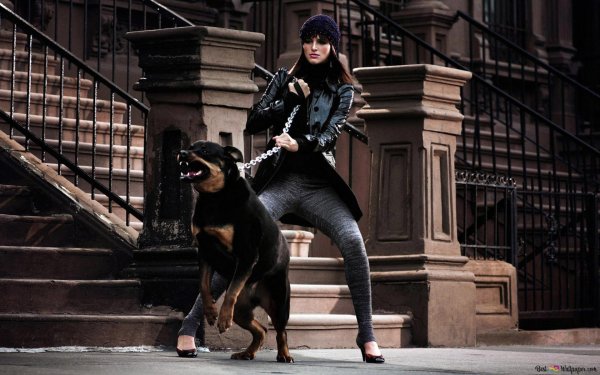 ирина шейк фотосессия с доберманом