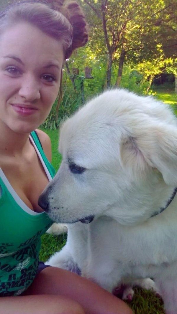 мареммо абруцкая овчарка