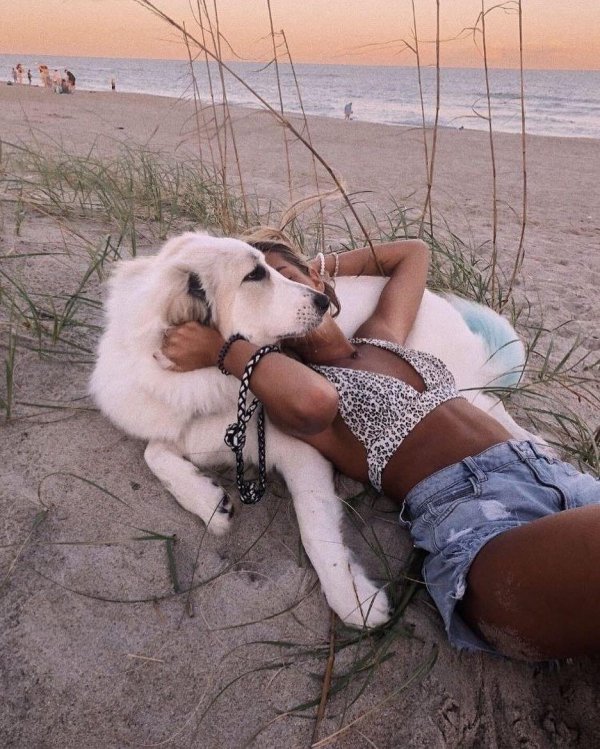 женщина с собаками