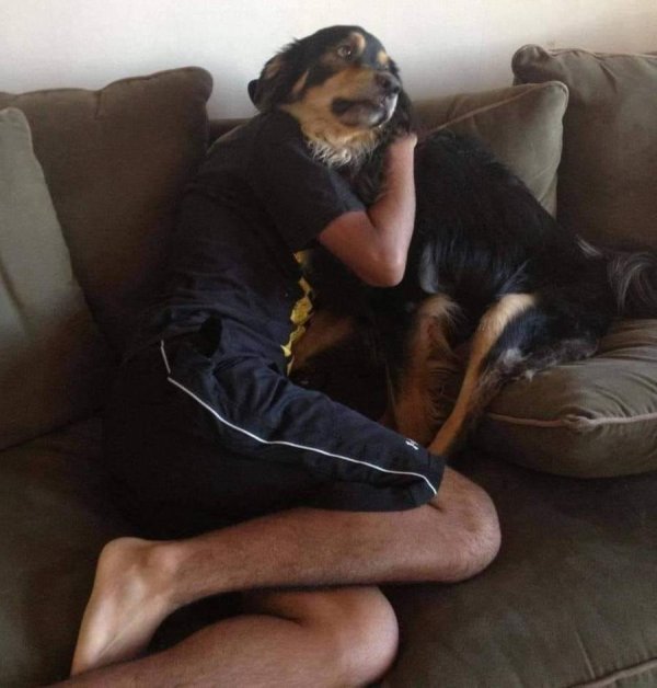 человека собака