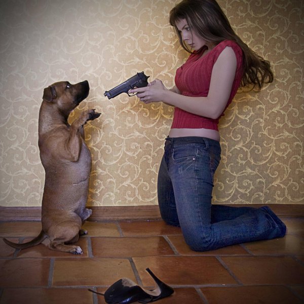 собака хочет девчонку