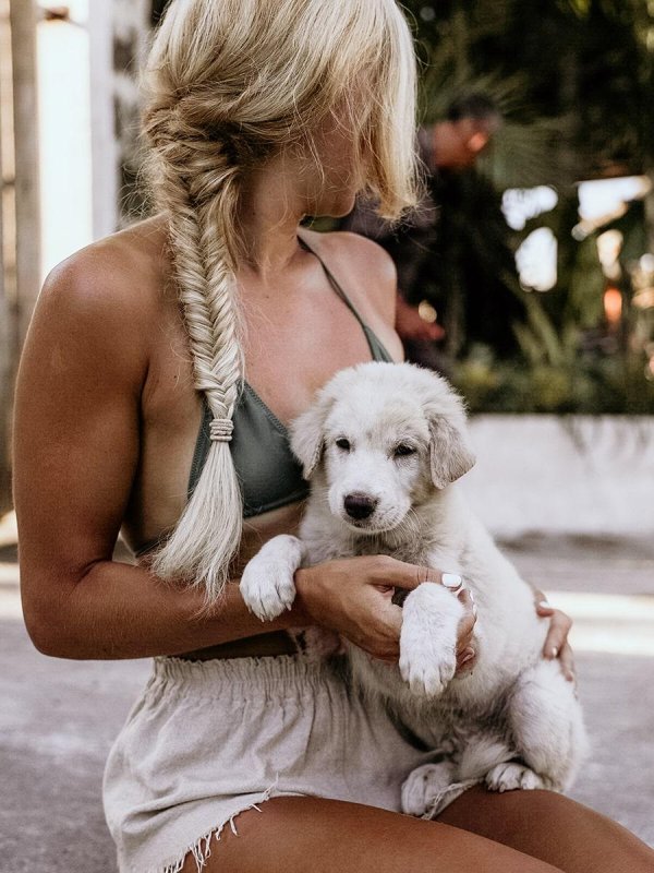 маремма абруццкая овчарка