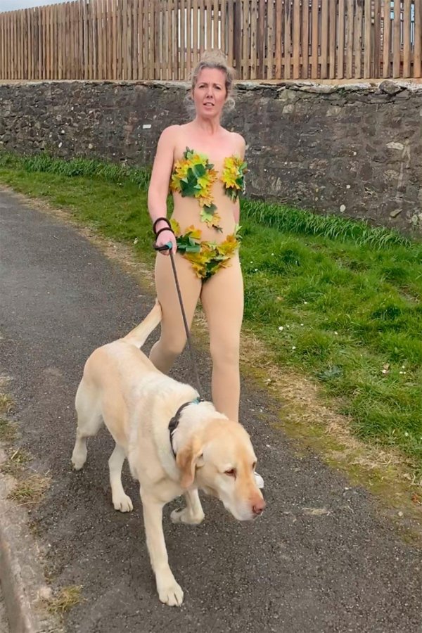 лабрадор ретривер палевый