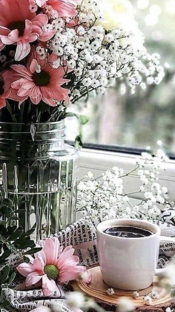 утренние цветы