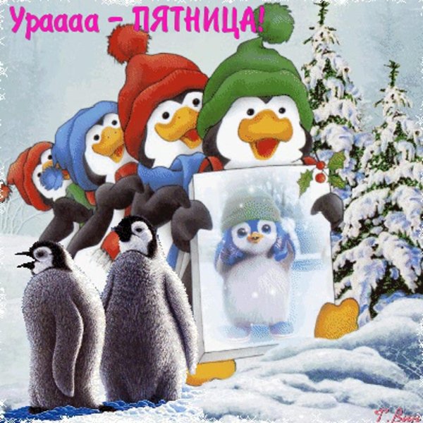 пятница зима
