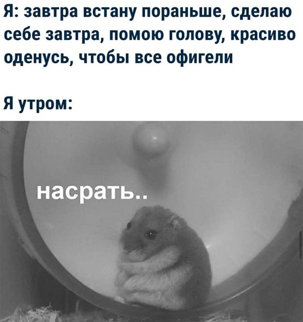 каждое утро