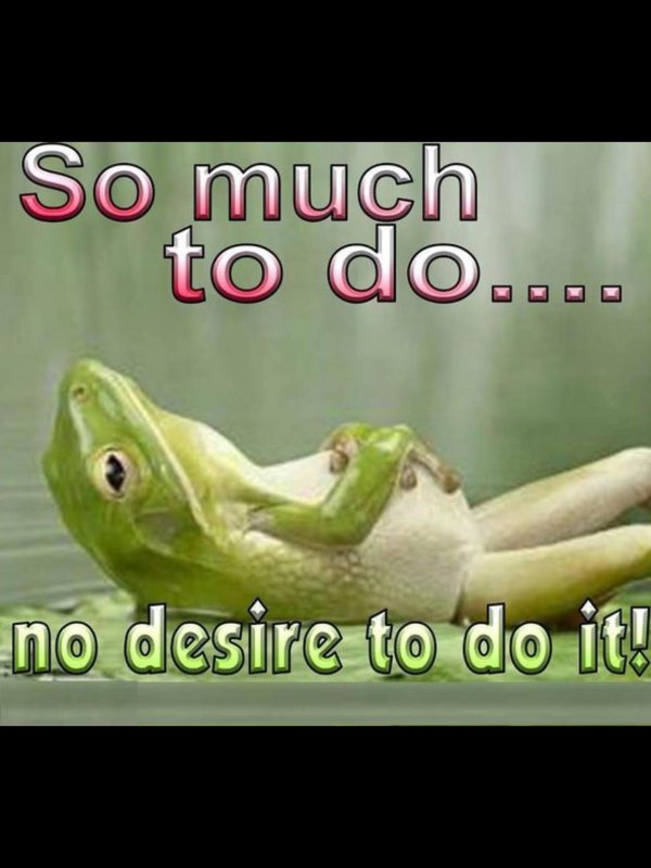 лето лягушка