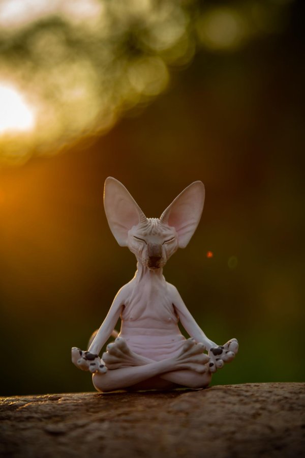 статуэтка сфинкс медитирует