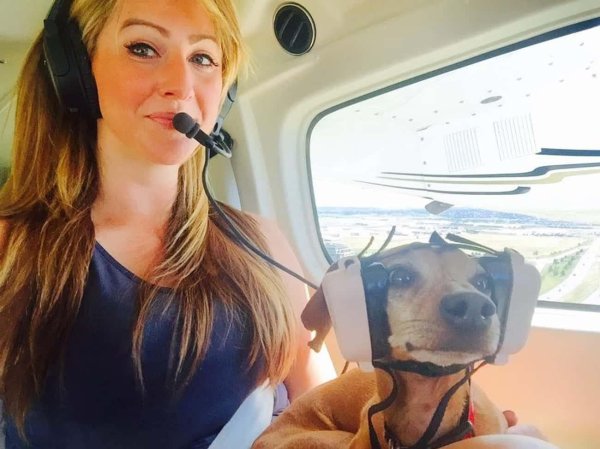 смешное путешествие