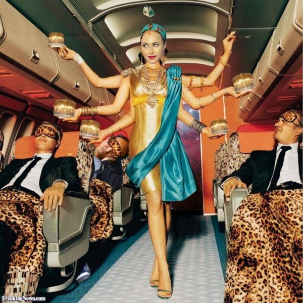 стюардессы аир индия