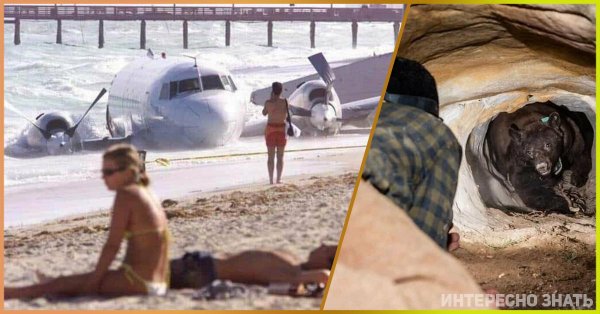 шутки про невозмутимость