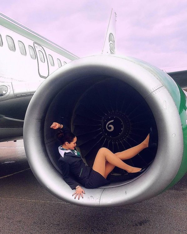 сексуальная стюардесса