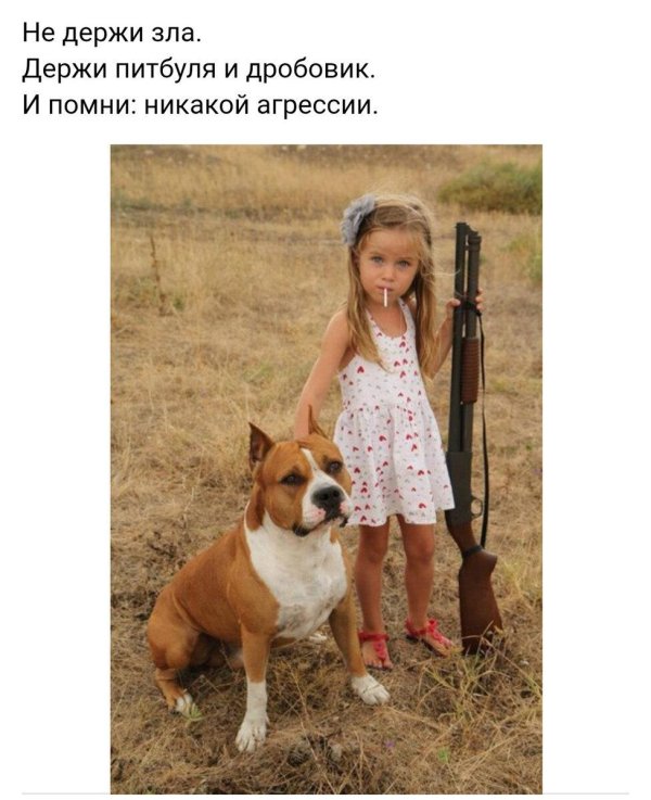 Девушки с ружьем